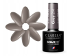 CLARESA Lakier hybrydowy GRAY 214 -5g